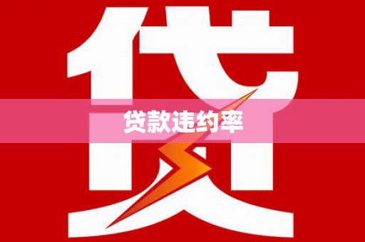 积石山贷款违约率