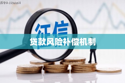 积石山贷款风险补偿机制