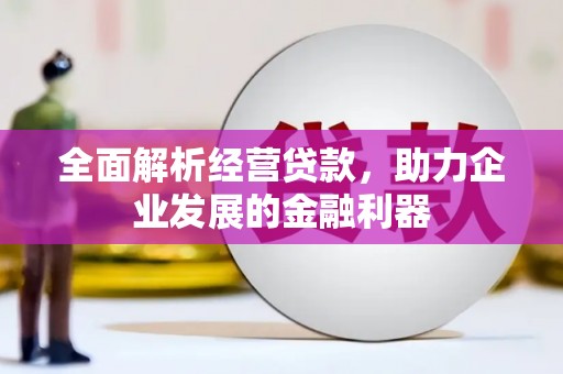 积石山全面解析经营贷款，助力企业发展的金融利器