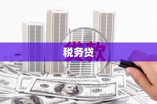 积石山税务贷