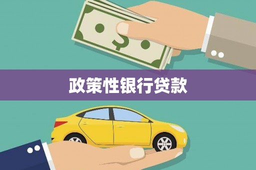 积石山政策性银行贷款