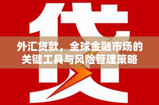 积石山外汇贷款，全球金融市场的关键工具与风险管理策略