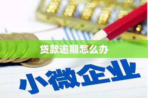 积石山贷款逾期怎么办