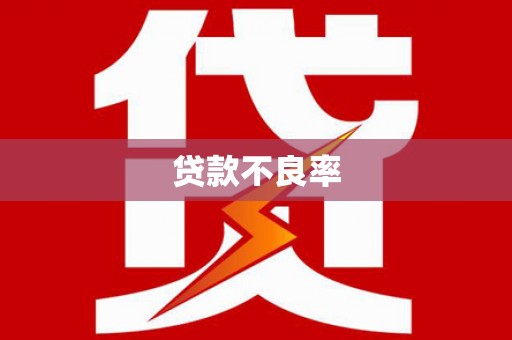 积石山贷款不良率