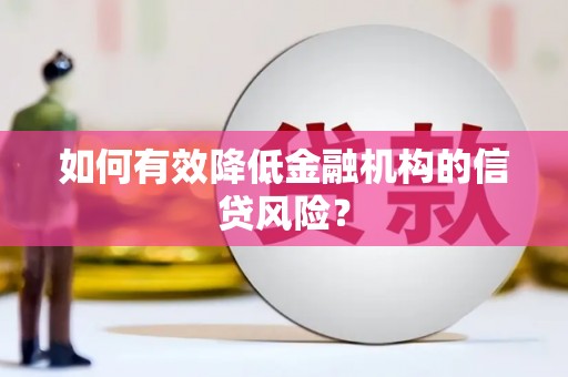 积石山如何有效降低金融机构的信贷风险？