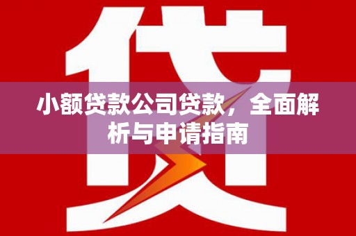 积石山小额贷款公司贷款，全面解析与申请指南