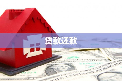 积石山贷款还款