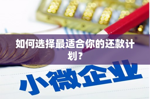 积石山如何选择最适合你的还款计划？