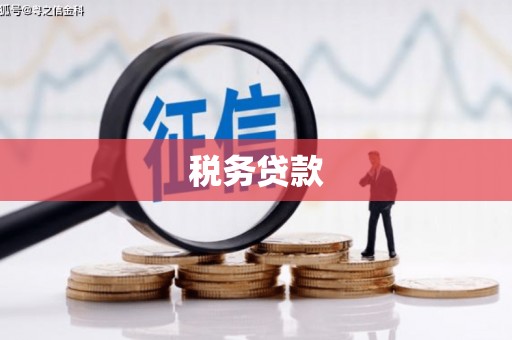 积石山税务贷款