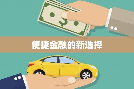 积石山便捷金融的新选择