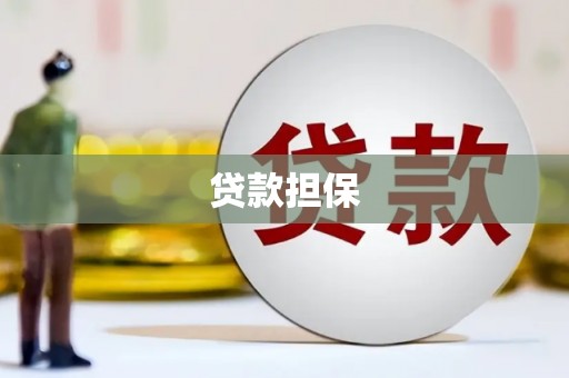 积石山贷款担保