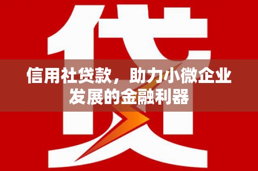 积石山信用社贷款，助力小微企业发展的金融利器