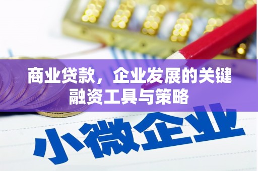 积石山商业贷款，企业发展的关键融资工具与策略