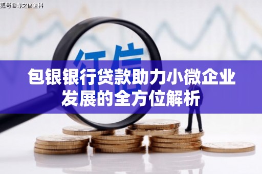 积石山包银银行贷款助力小微企业发展的全方位解析
