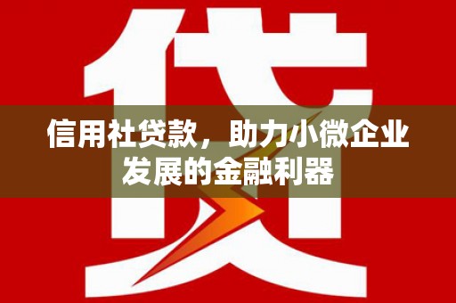 积石山信用社贷款，助力小微企业发展的金融利器