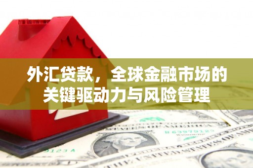 积石山外汇贷款，全球金融市场的关键驱动力与风险管理