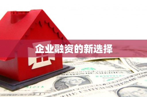 积石山企业融资的新选择