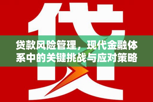 积石山贷款风险管理，现代金融体系中的关键挑战与应对策略