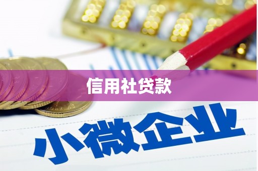 积石山信用社贷款