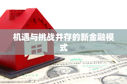 积石山机遇与挑战并存的新金融模式