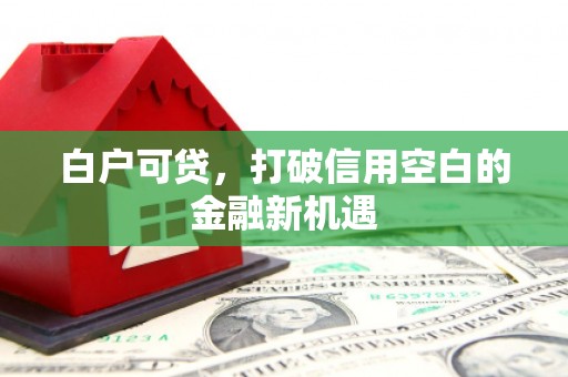 积石山白户可贷，打破信用空白的金融新机遇