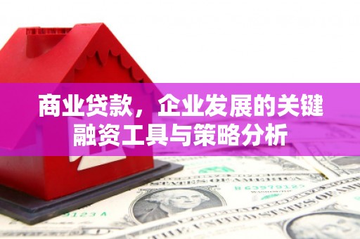 积石山商业贷款，企业发展的关键融资工具与策略分析
