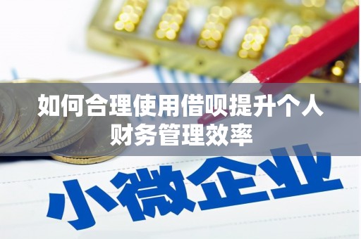 积石山如何合理使用借呗提升个人财务管理效率