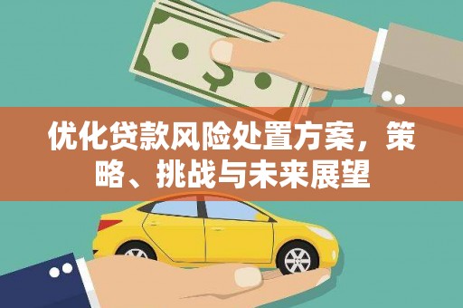 积石山优化贷款风险处置方案，策略、挑战与未来展望