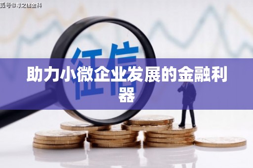 积石山助力小微企业发展的金融利器