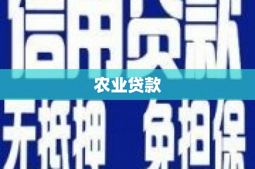 积石山农业贷款