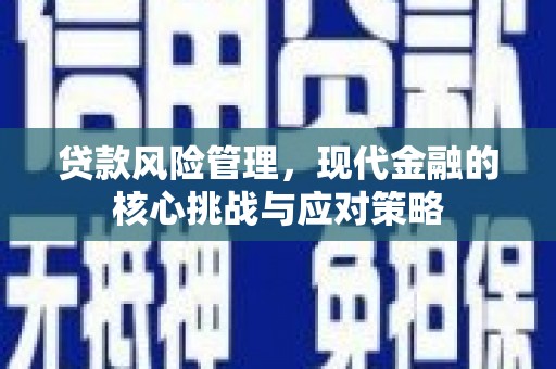 积石山贷款风险管理，现代金融的核心挑战与应对策略