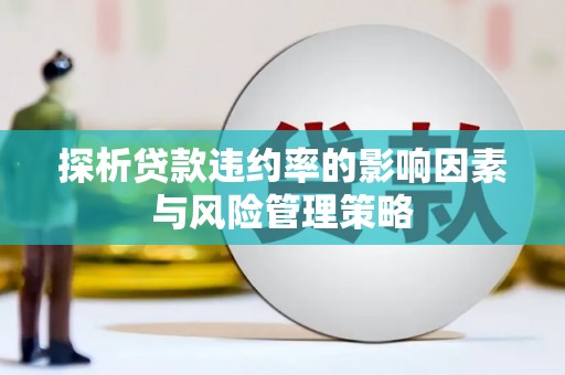 积石山探析贷款违约率的影响因素与风险管理策略