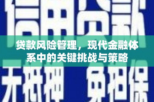 积石山贷款风险管理，现代金融体系中的关键挑战与策略