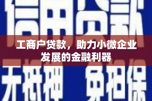 积石山工商户贷款，助力小微企业发展的金融利器