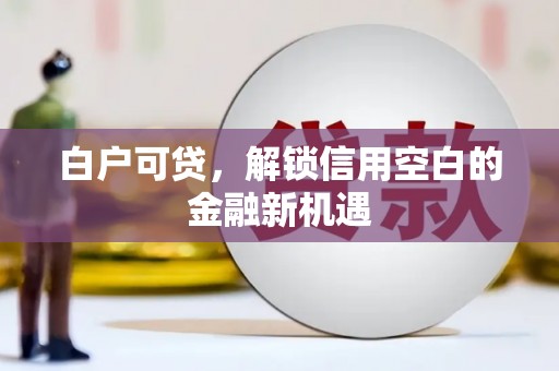 积石山白户可贷，解锁信用空白的金融新机遇