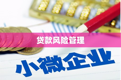 积石山贷款风险管理