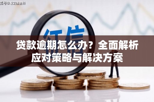 积石山贷款逾期怎么办？全面解析应对策略与解决方案