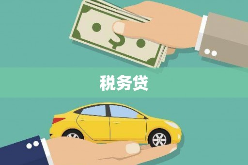 积石山税务贷