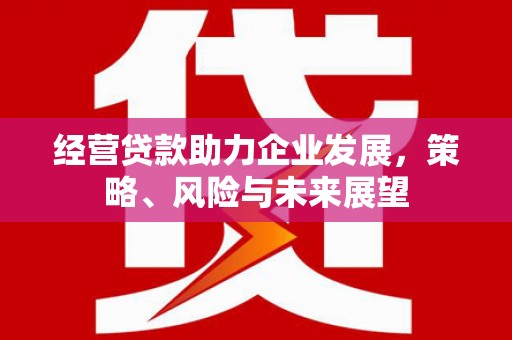 积石山经营贷款助力企业发展，策略、风险与未来展望