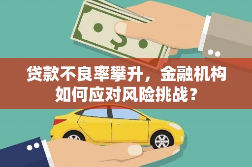 积石山贷款不良率攀升，金融机构如何应对风险挑战？