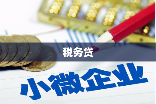 积石山税务贷
