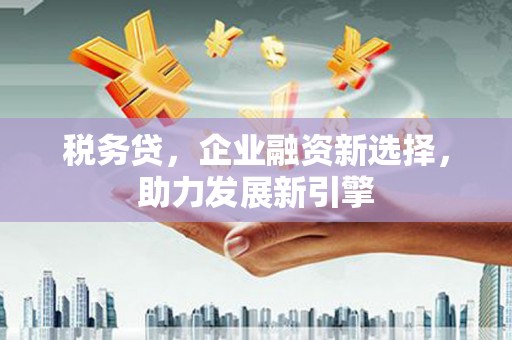 积石山税务贷，企业融资新选择，助力发展新引擎