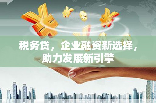 积石山税务贷，企业融资新选择，助力发展新引擎