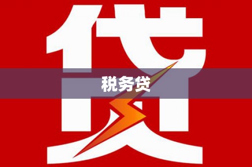 积石山税务贷