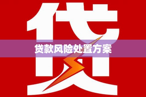 积石山贷款风险处置方案