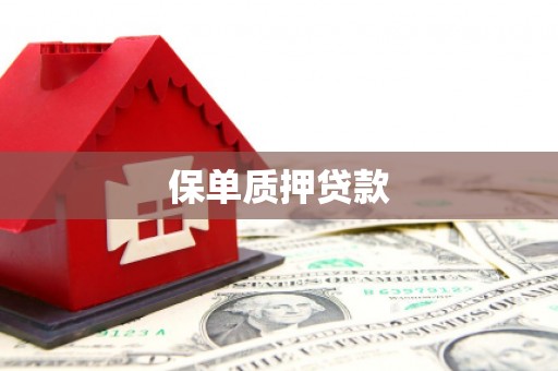 积石山保单质押贷款