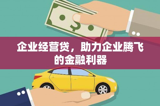 积石山企业经营贷，助力企业腾飞的金融利器