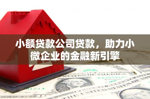 积石山小额贷款公司贷款，助力小微企业的金融新引擎