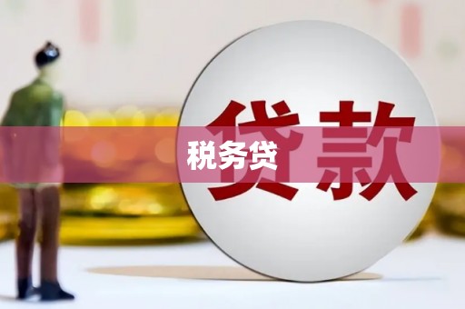 积石山税务贷