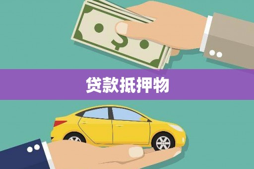 积石山贷款抵押物